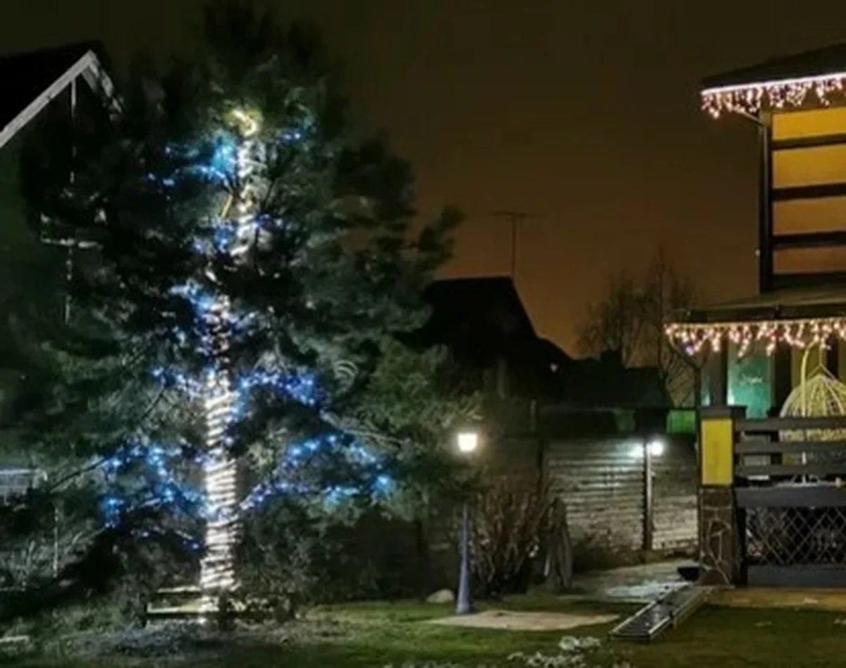 Новогодняя подсветка елки возле загородного дома